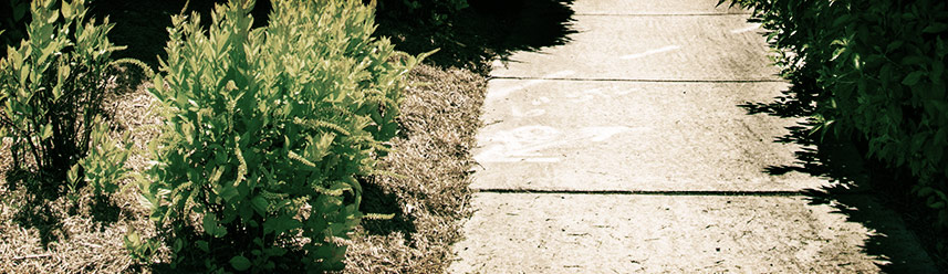 在线DDOS压力测试网页端